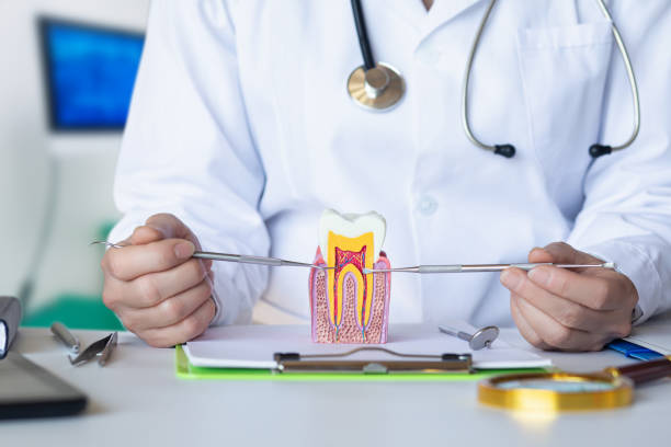 Best Emergency Dental Services for Seniors in Clinton, SC